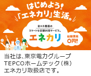 エネカリとは